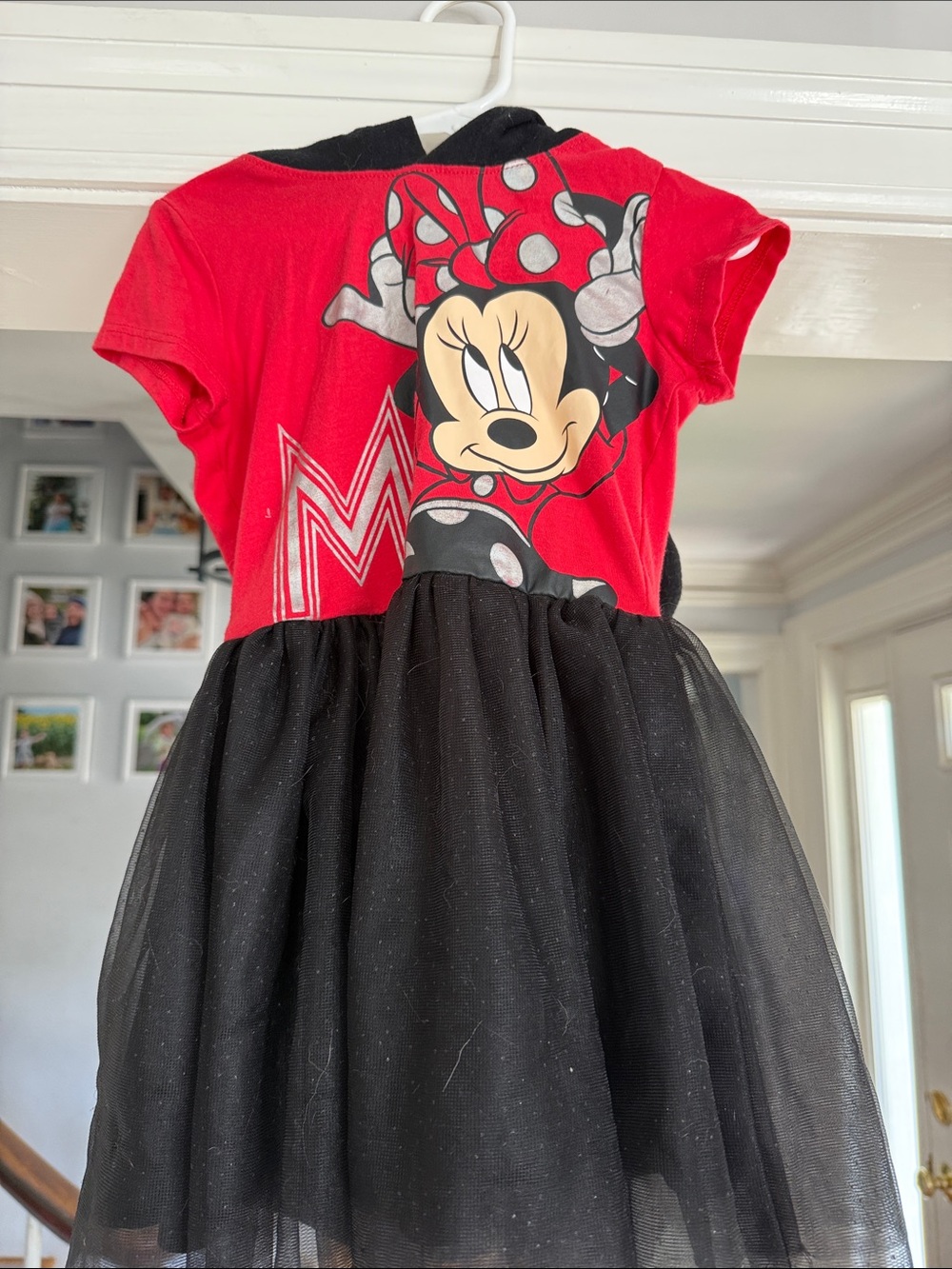 Minnie Mouse Red & Black Tulle Dress